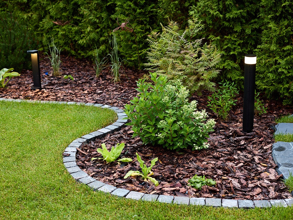 Entretien paysager commercial à Boucherville - jardin aménagé avec éclairage